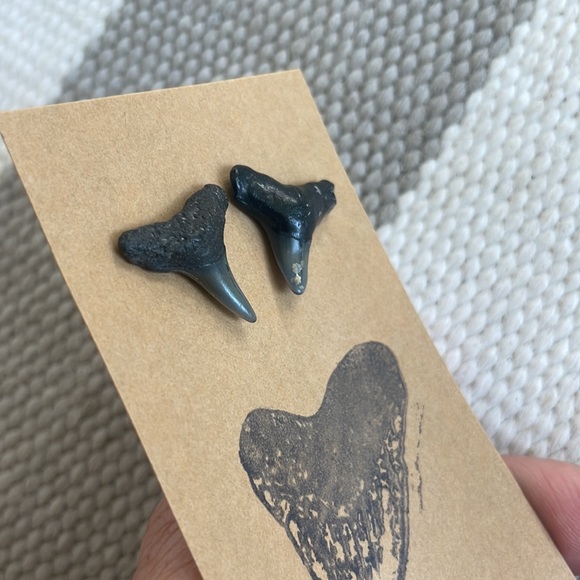 Shark Teeth Stud Earrings - Picture 4 of 4